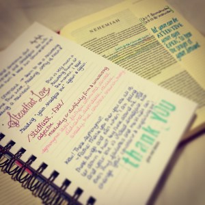 Steadfast love journaling