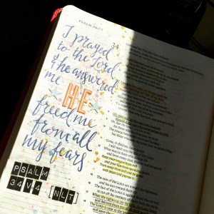 Psalm 34 v 4