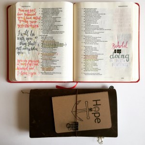 Behold I am doing a new thing