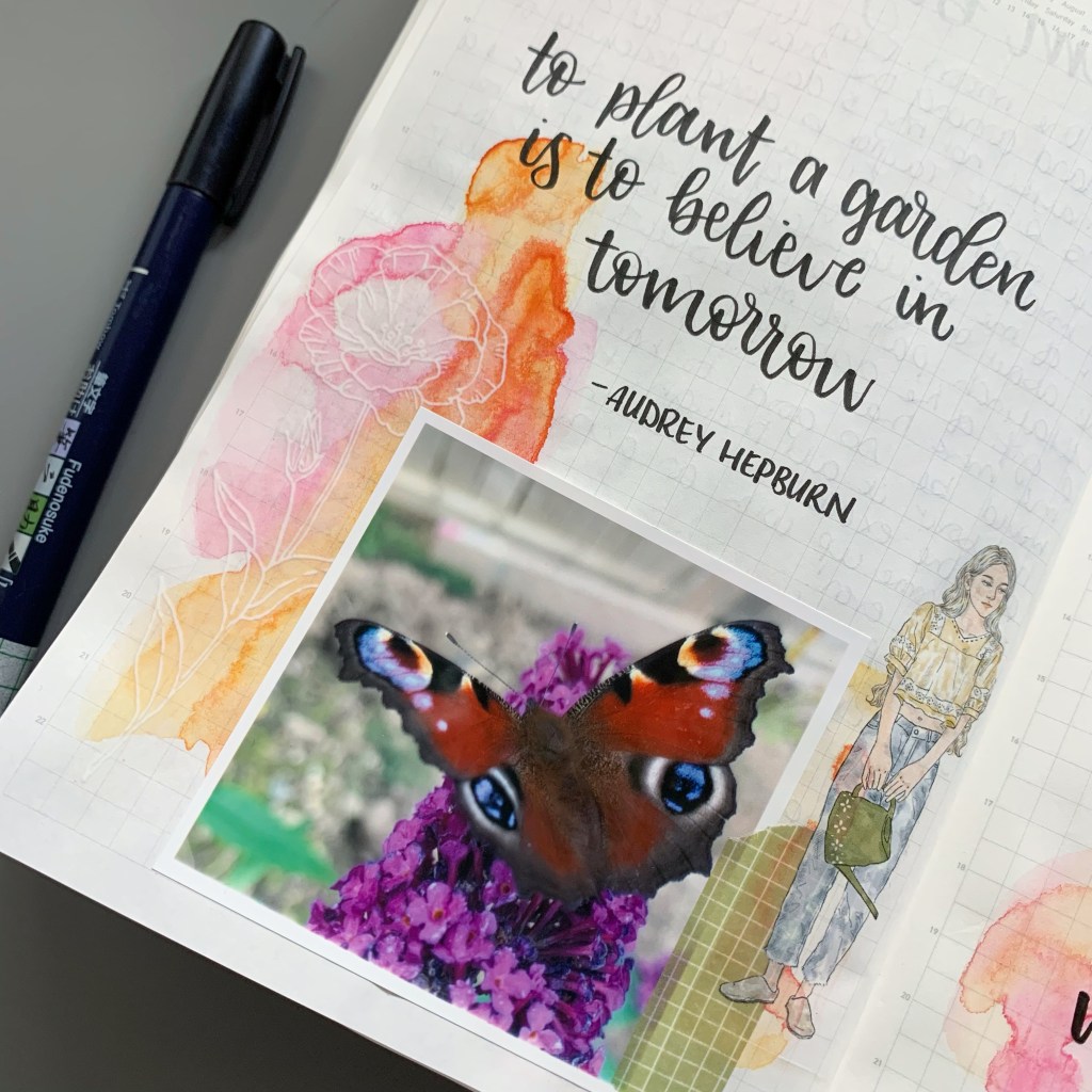 To plant a&nbsp;garden